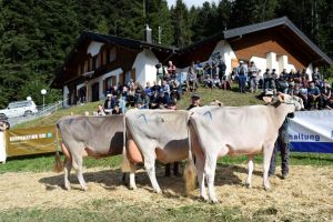 Podest Miss Haldi v.l. Silverstone Sunday Eros Elli Kriksus Kira